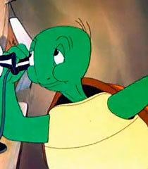 Cecil Turtle - Alchetron, The Free Social Encyclopedia