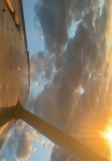 #sarahyarborough | yarborough