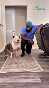 Cats: the funniest drama queens. | Creative Company