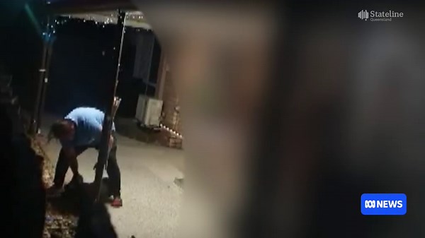 Animal abuse charge takes one year as RSPCA prosecutions in Queensland drastically decline