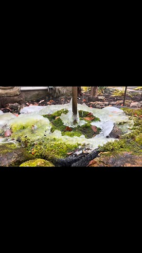 49 reactions · 4 comments | Just a simple bird bath raining down on a mossy bed as the winters joy starts freezing up. #birdlife #birdbath #fountain | Gerard Touhey | Facebook