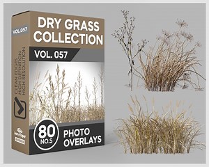 80 Dry Grass Photo Overlays for Photoshop, Grass, Landscape, Dead Grass, Cutouts, Scrapbooking, PNG Overlays, Digital Downloads - Etsy