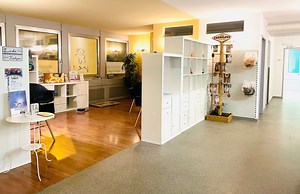 VetTrust Kleintierpraxis Basel City