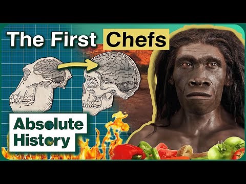 How Cooking Made Our Brains Bigger