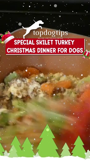 🎄🦃 A Christmas dinner made just for pups! This homemade turkey dinner for dogs is warm, hearty, and full of festive flavor, perfect for letting your furry friend join the holiday feast. 🐾💛 Because Christmas dinner isn’t complete without a plate for your pup! 🍽️✨ 🎅🏼 Tap here for the full recipe: https://topdogtips.com/turkey-dinner-for-dogs-recipe/ #ChristmasForDogs #TurkeyDinnerForDogs #HolidayDogMeals #HomemadeDogFood #FestivePetRecipes #TopDogTips | Top Dog Tips
