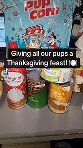 12K views · 665 reactions | All our pups LOVED their Thanksgiving feasts and we'd like to thank all of you for donating! Happy Thanksgiving everyone! 殺 | Kings Harvest Pet Rescue No Kill Shelter 563 386 3117 | Facebook