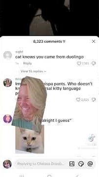 Omg 😆 #lol #funny #cat