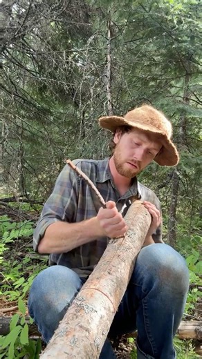 Birch bark canteen part 1 #camping #bushcraft #survival #primitiveskills