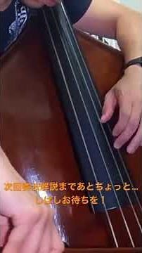 【ソロ演奏】コントラバス協奏曲【ヴァンハル】