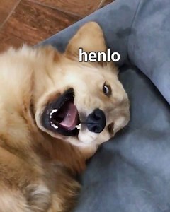 83K views · 2.9K reactions | Linda back at it again wif da dumb giggles invading my privacy  - Bed From Casper   | Tucker Budzyn | Facebook