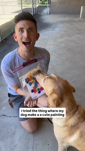 Matthew & Paul on Instagram: "Mr Maple is now taking requests 🤣 You can pre order Mr Maple’s new book by tapping the link in our bio or going here 👉🏻 https://www.kickstarter.com/projects/pengrooms/mr-maple-a-guide-dogs-journey"