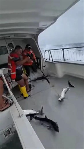 When the Ocean Throws a Curveball… Literally!