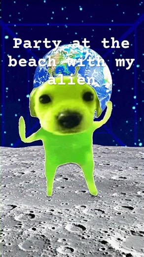 Party at the beach with my alien