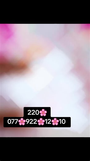 whtsap msg එකක් දාන්න ලමයෝ 🌸#creatorsearchinsights #fypシ #onemilionadition #viraltiktok #viraltiktok