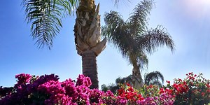 A look inside America’s only blue zone city—home to some of the world’s longest-living people