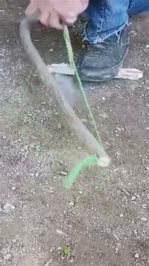 Bowdrill fire starting method