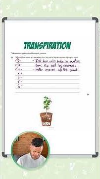 GCSE Biology: Exam Question | Transpiration