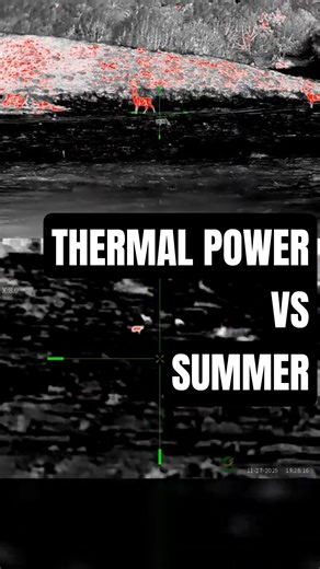 Thermal In The Winter #thermal #thermalimaging