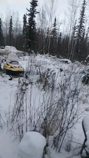 Doug Johnson on Reels