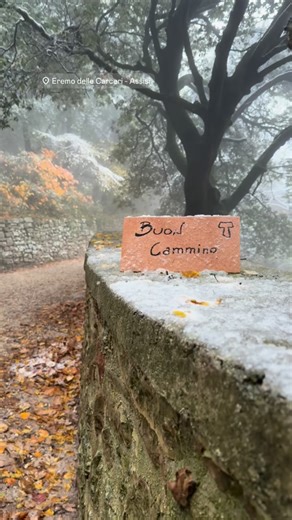Prima neve nei Luoghi di Francesco #assisi #eremodellecarceri #sanfrancesco | Cristiano Marzolesi
