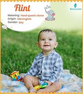 Flint Name Meaning, Origin, History, And Popularity