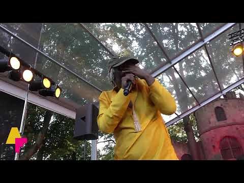 Alpha Blondy & The Solar System - Peace in Liberia - LIVE at Afrikafestival Hertme 2018