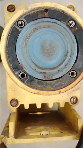 Diaphragm of LMI pump|internal area