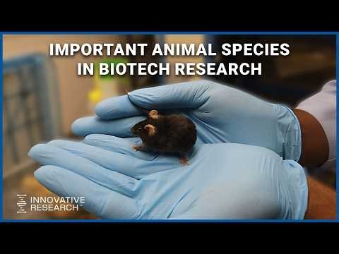 Important Animal Species in Biotech Research | Innovative Research