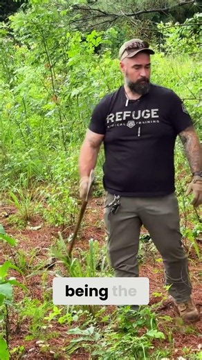 Work, Resources, and The Carrying Capacity of Land Explained