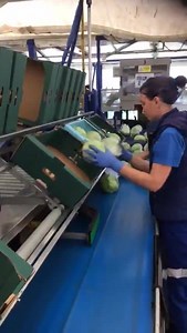 107K views · 1.1K shares | ICEBERG HARVEST | Global Informers | Facebook