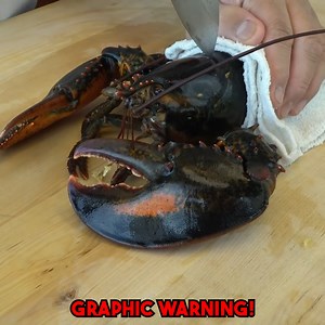 191K views · 1.5K reactions | Sushi Master Prepares Live Lobster Takikomi Gohan! | Hiroyuki Terada - Sushi Master | Facebook