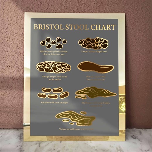 Bristol Stool Chart Poster Gastroenterology Art Identifying Types of Poop Diagram Medical Art Clinic Wall Decor Acrylic Art - Etsy Australia