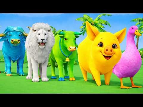 دعاء خاشع في اليوم التاسع من شهر رمضان المبارك دعاء خاشغ تهتز له القلوب - Doa Ramadan - علاء عقل