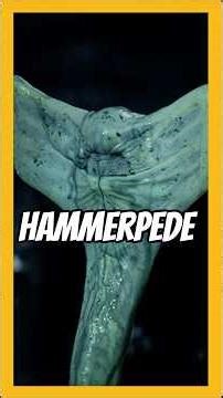 Hammerpede Alien #alien #xenomorph #prometheus #engineers #alienvspredator #aliens #xenomorphqueen