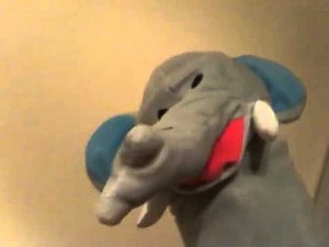 Baby Einstein. Elephant