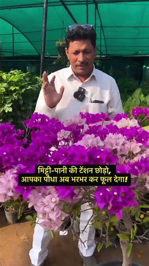 Garden lovers अब टेंशन ख़त्म! बस ये एक छोटी सी तकनीक अपनाइए और पौधा किसी भी मिट्टी में भर फूल देगा