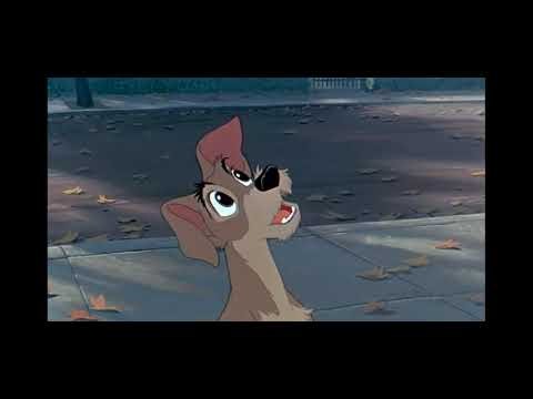 Lady and the Tramp - Tramp's Morning 🌄 scene part 1955.