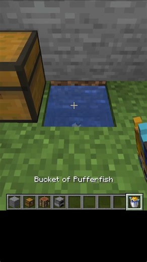 Minecraft pufferfish prank #minecraft #minecraftbuilding #minecrafttutorial #minecraftprank