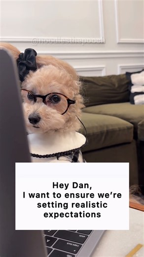 Rewording my emails #noodlesthepooch
