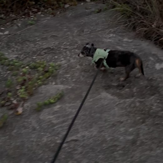 Elizabeth James on Reels