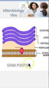 Microbiology 047 LipoPolySaccharide Gram Negative Bacteria mcq