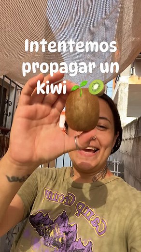 Cultivo y propagación de plantas como el kiwi: métodos y experiencias