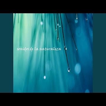 Sonido de las Olas del Mar