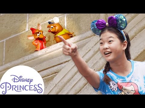 The Princess Experience: Hidden Gems in Magic Kingdom Park at Walt Disney World | Disney Princess