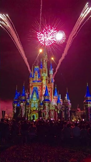 Denney At Disney D.A.D, First trip to Disney World!