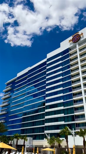 Weekend views ☀️ 🏝️ #hardrocktampa | Seminole Hard Rock Hotel & Casino Tampa
