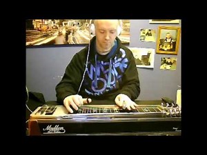 farewell party (pedal steel guitar)