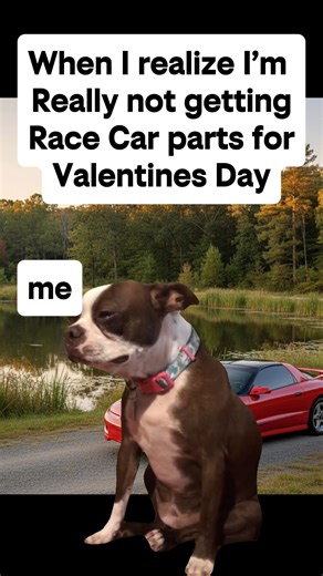 When I realize I’m Really not getting Race Car parts for Valentines Day #Meme #MemeCut #racecar #fbody #dogs | Red Rocket