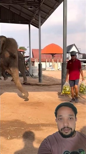 #gugugaga
