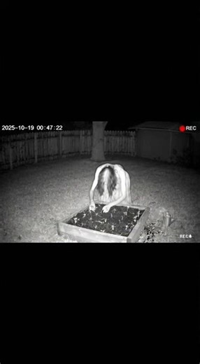 Secruity cam record horror moments #shorts